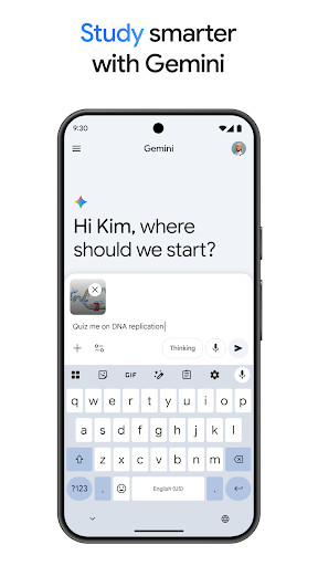 Google Gemini screenshot