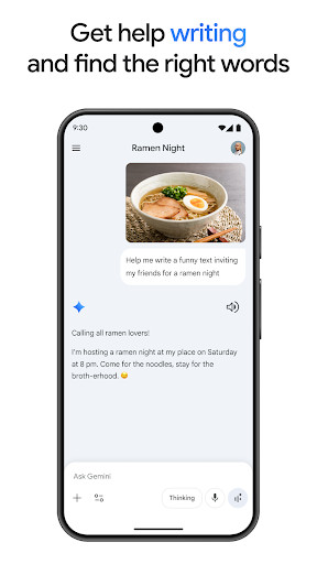 Google Gemini screenshot